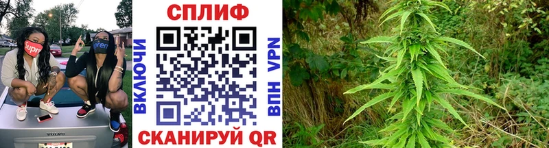 Меф мяу мяу Верхний Уфалей
