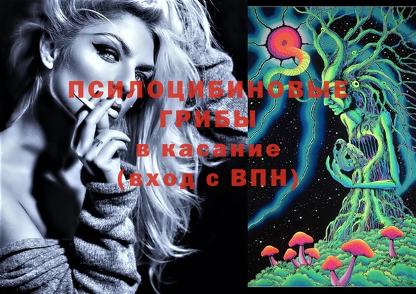 дурь Белоозёрский