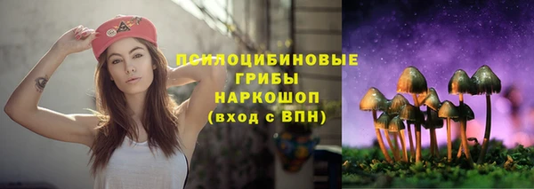тгк Беломорск