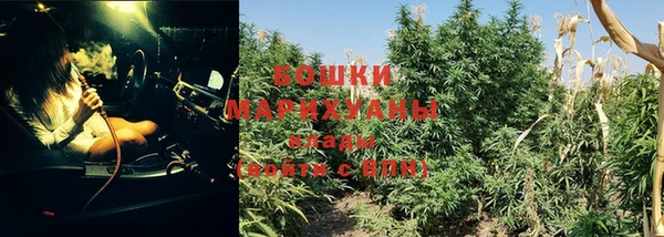 дурь Белоозёрский