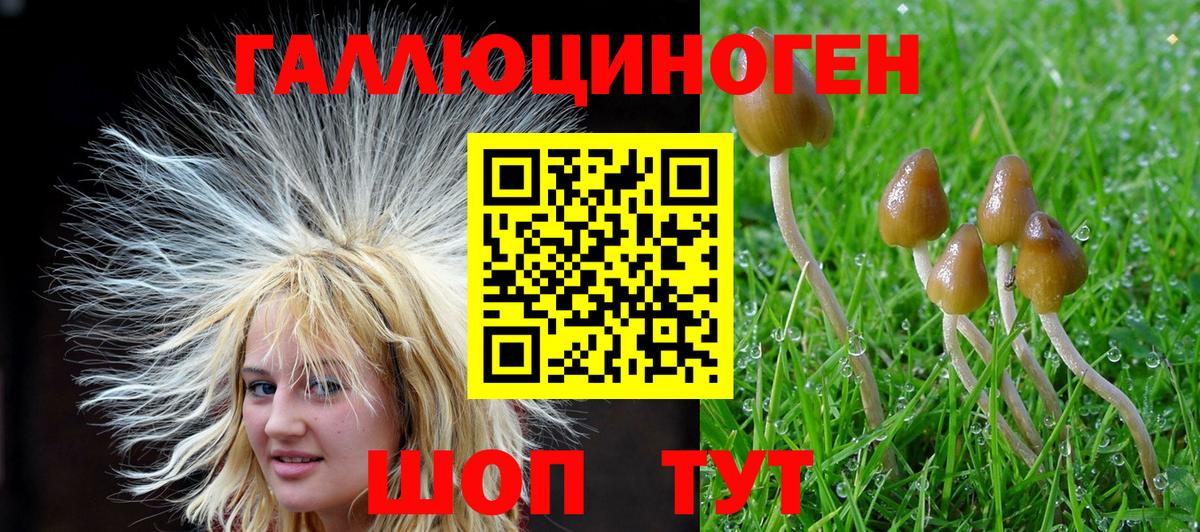 закладка  Галлюциногенные грибы мицелий  Верхний Уфалей  Вход с VPN  Псилоцибиновые грибы прущие грибы 