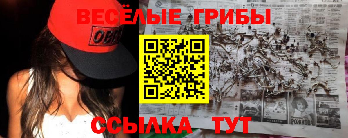 Псилоцибиновые грибы Psilocybe Верхний Уфалей